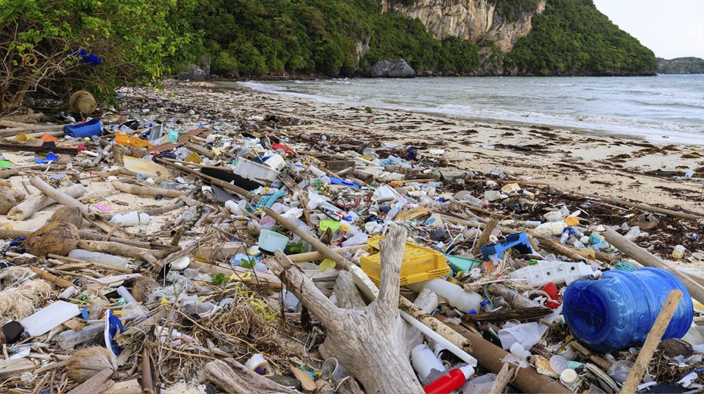 Plastik Atıkların Çevresel Etkileri