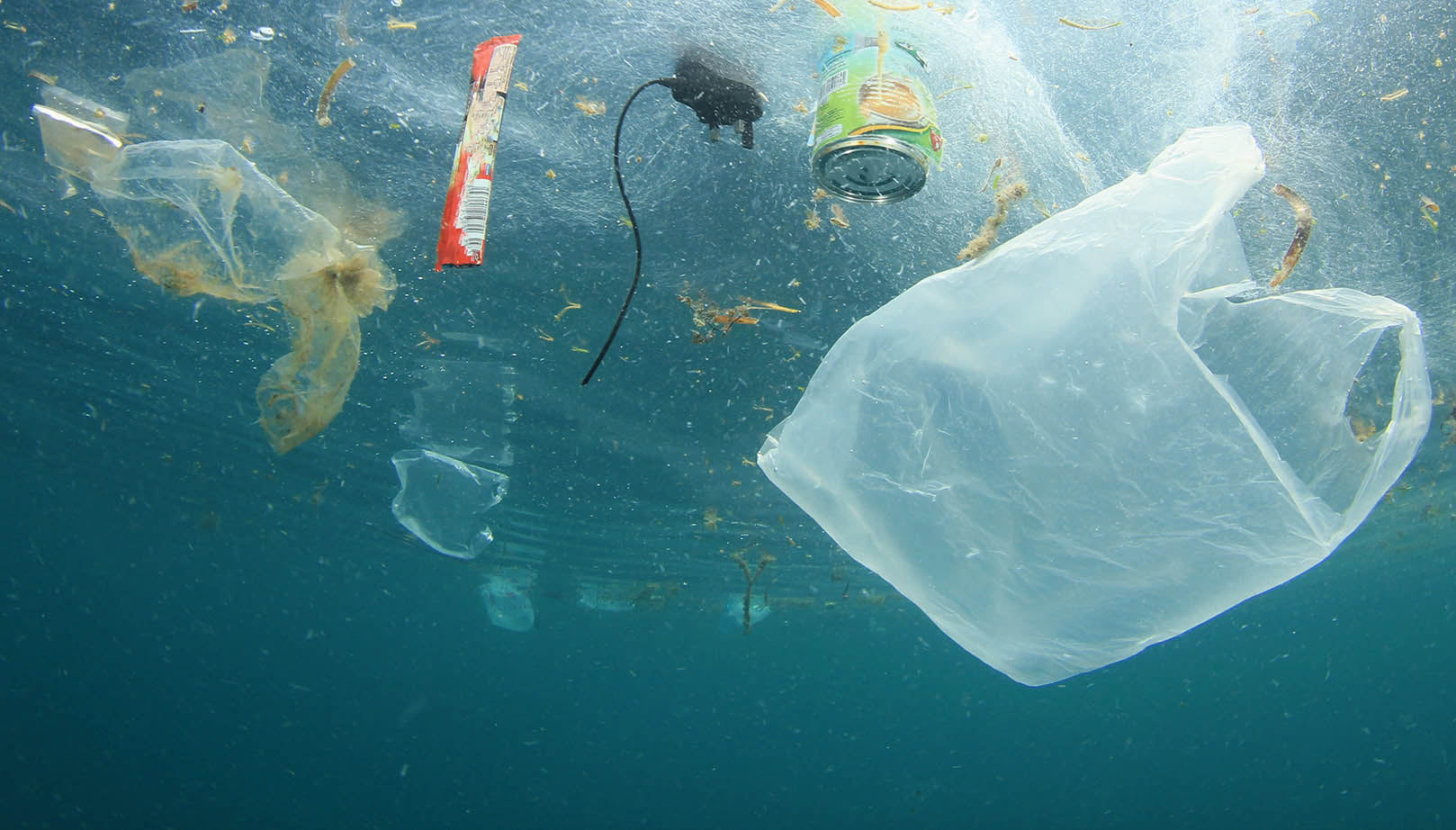 Denizlerde Plastik Kirliliği Nasıl Önlenir