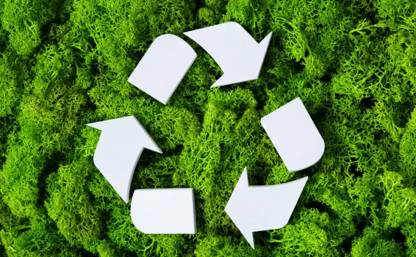 Geri Dönüşüm ve Sürdürülebilirlik