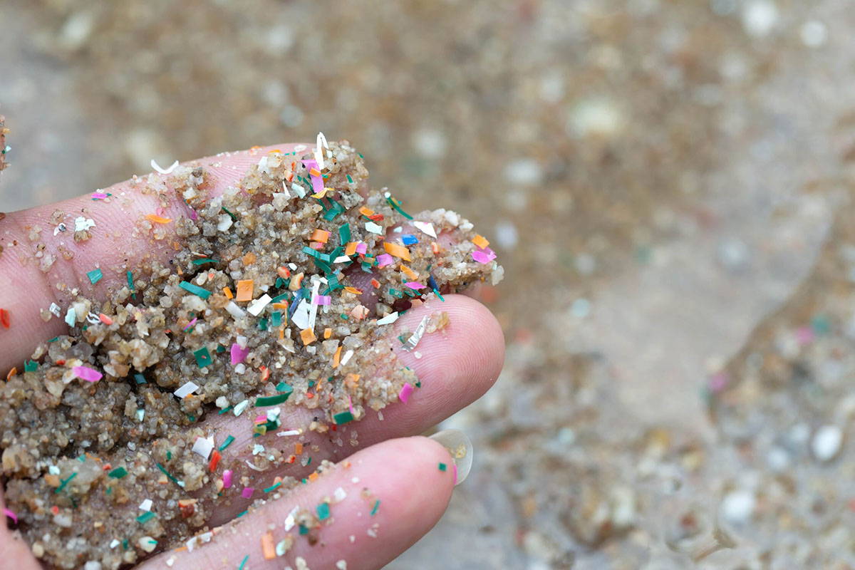 Mikroplastiklerin Doğaya Zararları Nelerdir